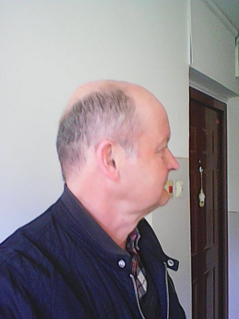 sfi-1.jpg